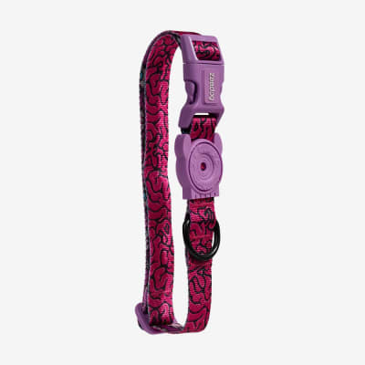 ZEE DOG LORDS OF ZEE.TOWN BRAIN COLLAR1