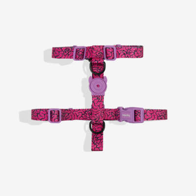 ZEE DOG LORDS OF ZEE.TOWN BRAIN H HARNESS1