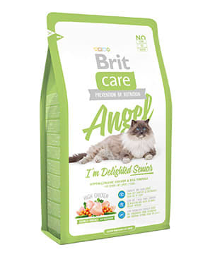 BRIT CARE ANGEL CAT SENIOR