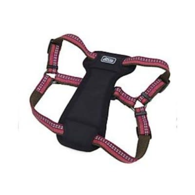 COASTAL K9 EXPLORER ARNES AC1