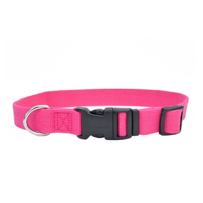 COASTAL NEW EARTH COLLAR SOYA