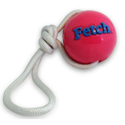 PLANET DOG FETCH BALL ROSA CON CUERDA