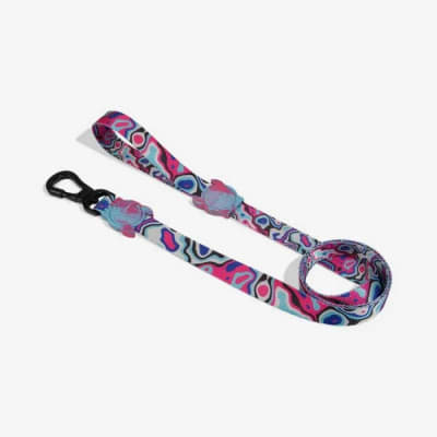 ZEE DOG BLAST AIR LEASH1