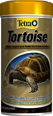 TETRA TORTUGA