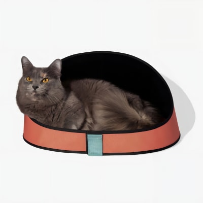 ZEE CAT CAMA TERRACOTA