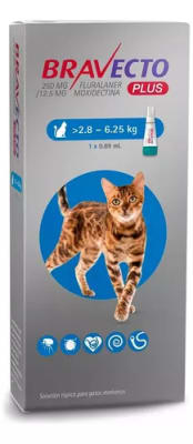 BRAVECTO PLUS GATOS 250 MG