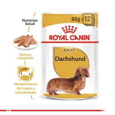 ROYAL CANIN DACHSHUND ADULTO POUCH