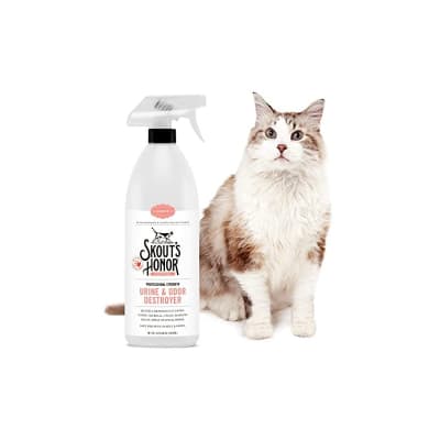 SKOUTS HONOR DESTRUCTOR DE ORINA Y OLORES GATO1