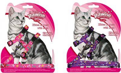 PAWISE ARNES CON TRAILLA DISEÑO