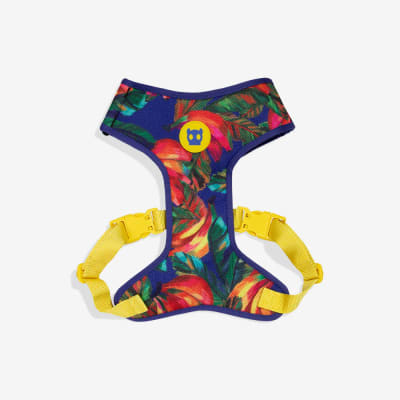 ZEE DOG SAMBA ADJ AIR MESH HARNESS1