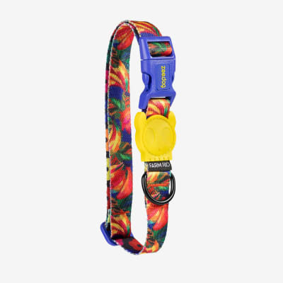 ZEE DOG COLLAR SAMBA