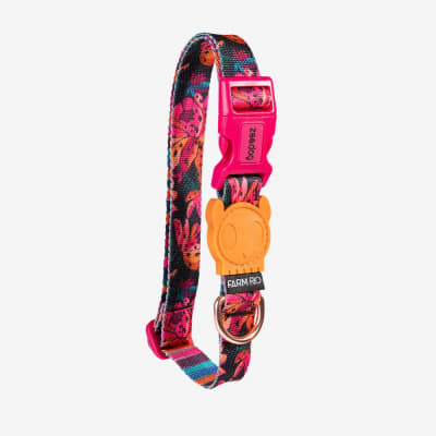 ZEE DOG COLLAR SELVA1