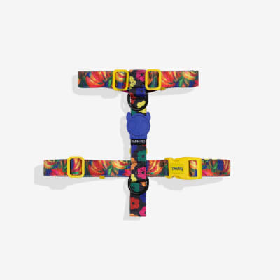 ZEE DOG SAMBA H HARNESS1