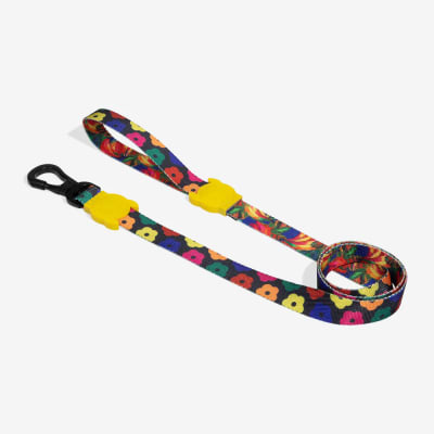 ZEE DOG SAMBA LEASH2