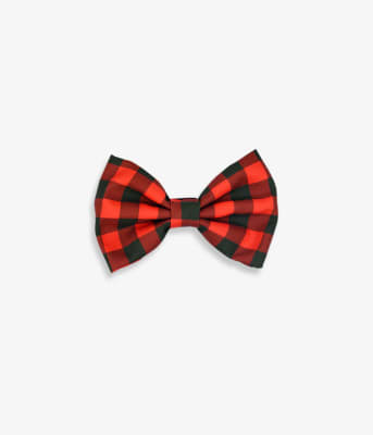 PEPOLLI CORBATIN MC FRENCH1