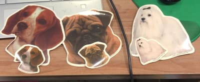 KARLIE STICKERS 14 CM
