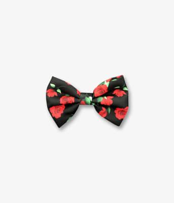 PEPOLLI CORBATIN ROSE1