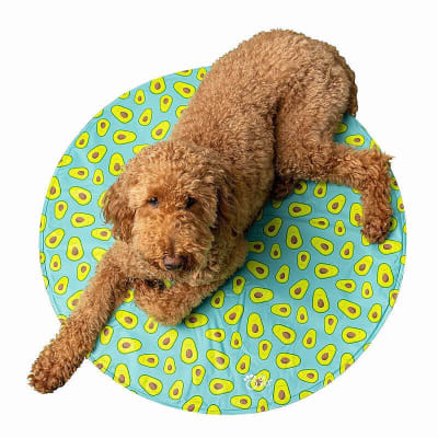 GF PET ICE MAT REDONDO AQUA1