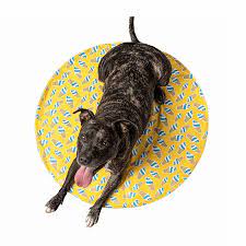 GF PET ICE MAT REDONDO YELLOW1