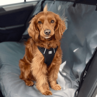 GF PET CUBIERTA PARA ASIENTO GRIS