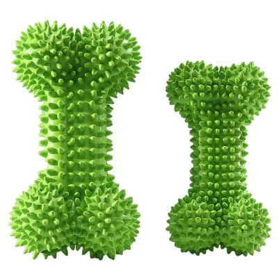 MASCAN HUESO LIMPIADIENTES VERDE1