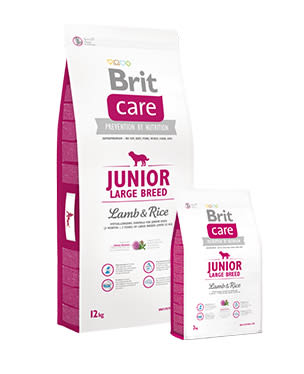 BRIT CARE JUNIOR LARGE BREED LAMB & RICE