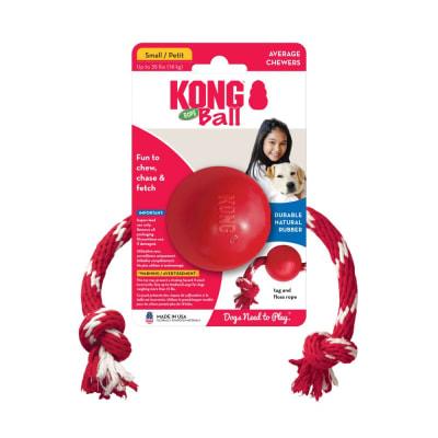 KONG BALL WITH ROPE