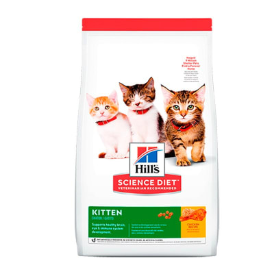 HILLS KITTEN