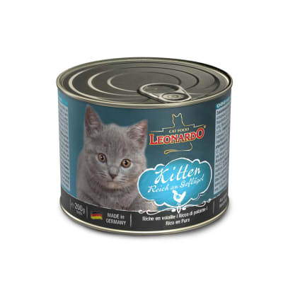 LEONARDO LATA KITTEN
