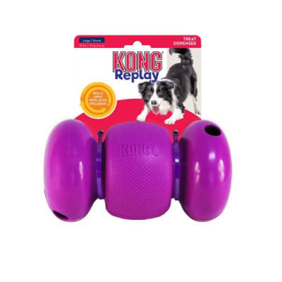 KONG REPLAY
