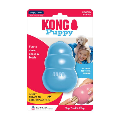 KONG PUPPY1