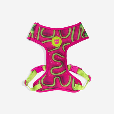 ZEE DOG H3D JELLY ADJ AIR MESH HARNESS1