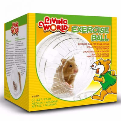 LIVING WORLD BOLA DE EJERCICIO CON BASE MEDIANO