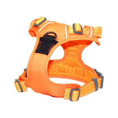 MASCAN ARNES DEPORTIVO DE CONTROL NARANJA1