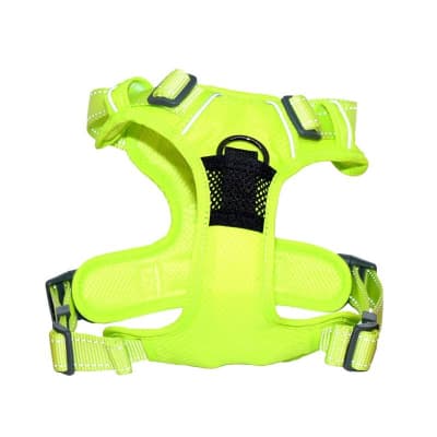 MASCAN ARNES DEPORTIVO DE CONTROL VERDE