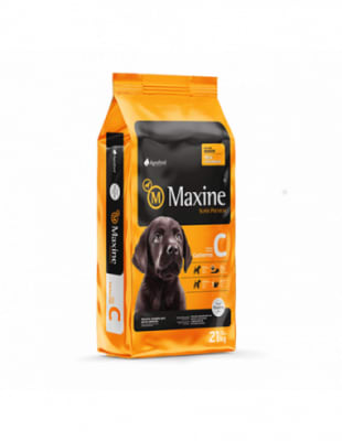 MAXINE CACHORRO