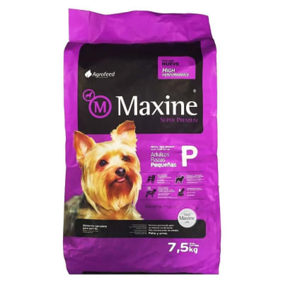 MAXINE ADULTO RAZA PEQUEÑA