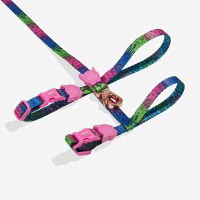 ZEE DOG LORDS OF ZEE.TOWN MELTED HARNESS + LEASH SET