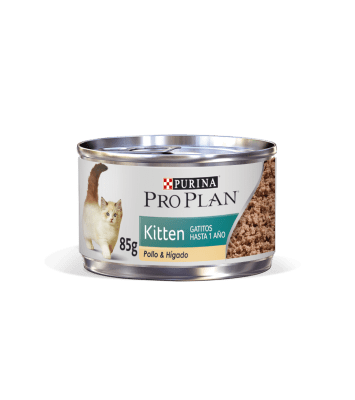 PRO PLAN KITTEN POLLO E HIGADO