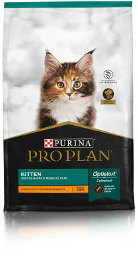 PRO PLAN CAT KITTEN
