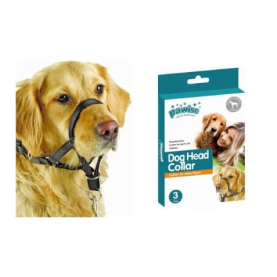PAWISE CABESTRO