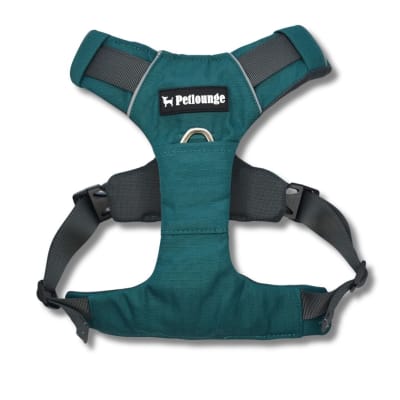 PETLOUNGE ARNES OUTDOOR PETROLEO