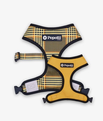 PEPOLLI ARNES 2 EN 1 DUBLIN1