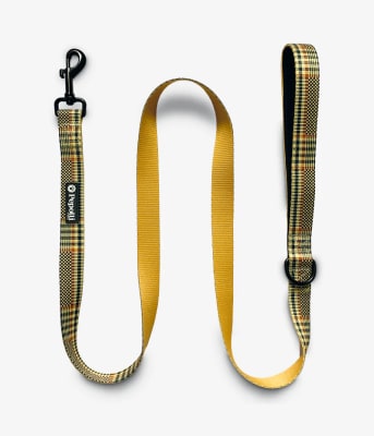 PEPOLLI CORREA PREMIUM DUBLIN M1