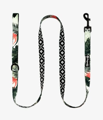 PEPOLLI CORREA PREMIUM HAWAII M1