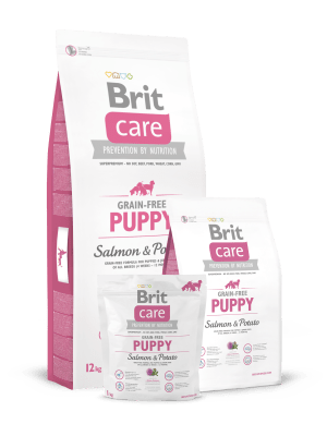 BRIT CARE PUPPY SALMON & POTATO