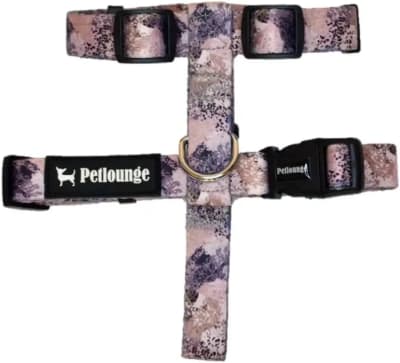 PETLOUNGE ARNES H UNDER THE SKY