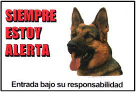 KARLIE CARTEL DE ADVERTENCIA SIEMPRE ESTOY ALERTA