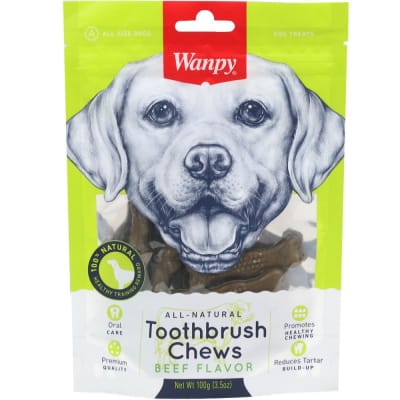 WANPY TOOTHBRUSH CHEWS BEEF 100 G1