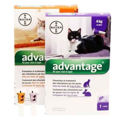 ELANCO ADVANTAGE GATO